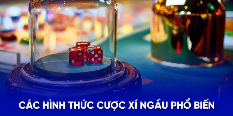 Các hình thức cược xí ngầu phổ biến