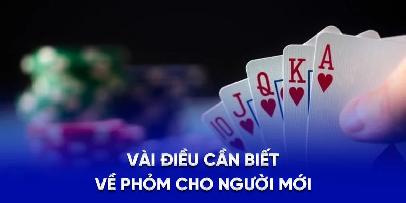 Vài điều cần biết về phỏm cho người mới