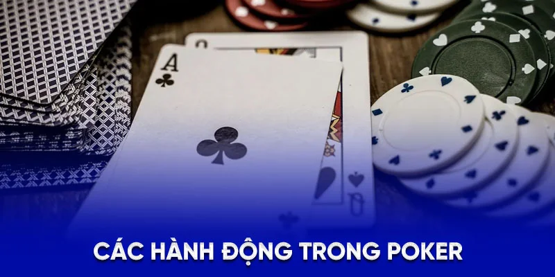 Các hành động trong poker