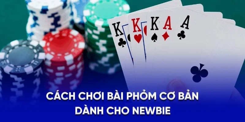 Cách chơi bài phỏm cơ bản dành cho newbie