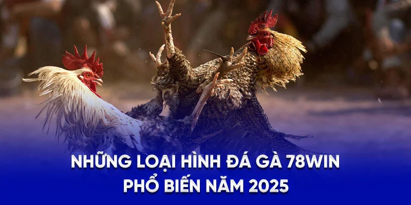 Những loại hình đá gà 78win phổ biến năm 2025