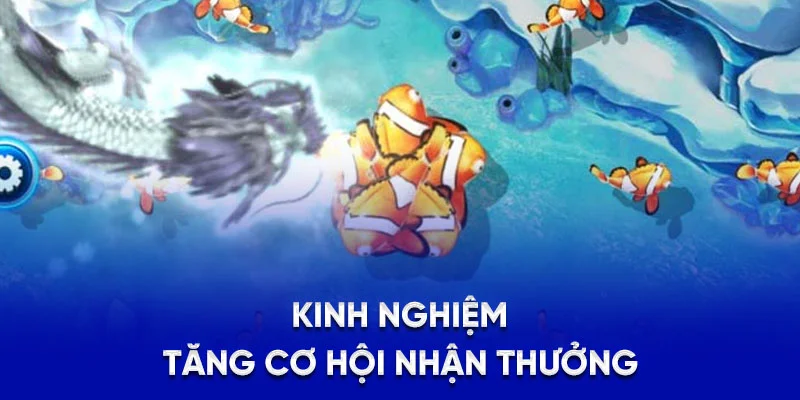 Kinh nghiệm tăng cơ hội nhận thưởng