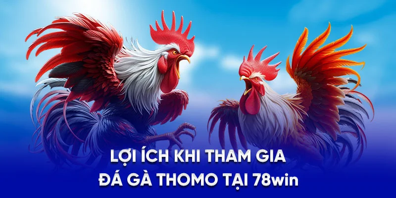 Lợi ích khi tham gia đá gà Thomo tại 78WIN